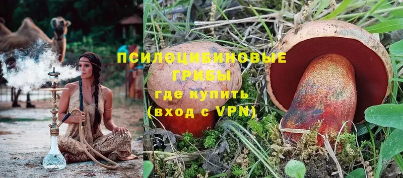 Псилоцибиновые грибы Magic Shrooms  Лениногорск 